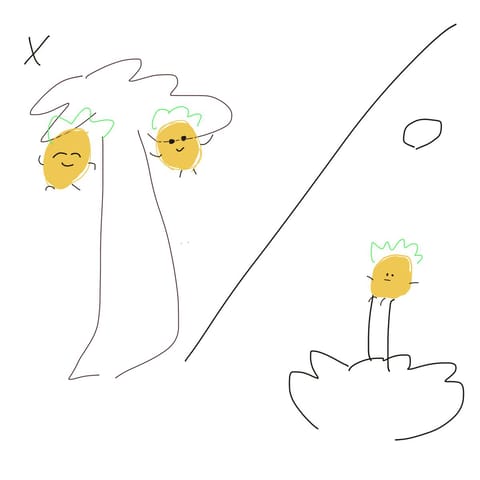 これは友達にパイナップルの生え方の説明をするため描いた絵