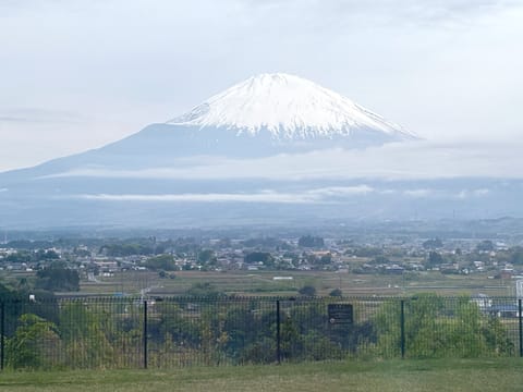 知る人ぞ知る雨女なのですが
富士山やっと見れたのー！！！
ご利益ありそう⛩🌟