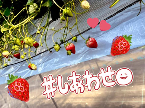 おはようございます🌞

今日は昨日や一昨日に比べてとても寒いですね🥲春らしい気温と冬が交互に来て体調崩しそうで心配です💦