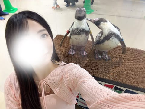 水族館で一番好きなのはペンギン🐧✨
スリーショット嬉しい😻