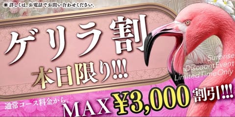 こんばんは〜なぎ本日出勤してます🎶

そしてなんと本日(翌5時まで)限定でゲリラ割引キャンペーンを行います‼️‼️
この