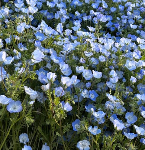 おはよ☀️

昨日も🈵了ありがとうございました⏰

その場で連続でお会いできた仲良し様🤝
初めましてのお兄様達ありがとう