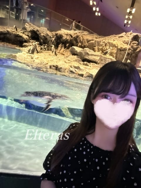 水族館巡り好き🐠
ペンギンやクラゲのゆったりした感じが癒される…私もあんな風にのんびり生きたいなぁ🫧