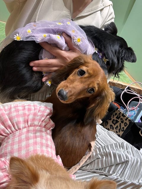 ここ数ヶ月は推し活に勤しんでおります。
たくさんこの推したちに課金したいので
ご予約お待ちしております。
推しは基本イビ