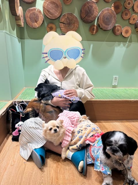 ここ数ヶ月は推し活に勤しんでおります。
たくさんこの推したちに課金したいので
ご予約お待ちしております。
推しは基本イビ