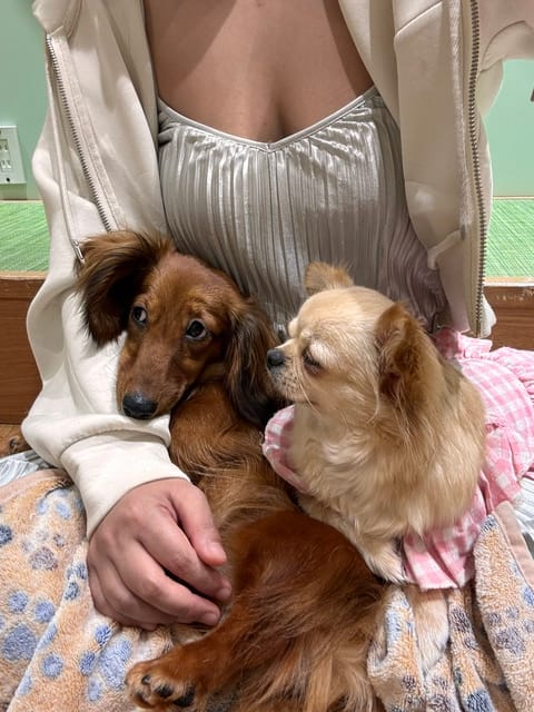 ここ数ヶ月は推し活に勤しんでおります。
たくさんこの推したちに課金したいので
ご予約お待ちしております。
推しは基本イビ