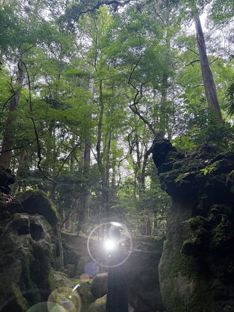 どんな私の欠点も

長所にして
受け入れてくれる

とても心温かい
素敵な貴公子様より✩.*˚

お店の皆様で🛍と、
沢