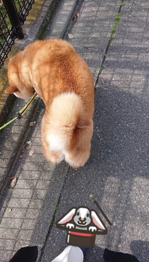おはようございます。
荻窪南口roomにいます。
是非いらしてください✨