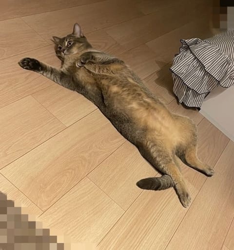 今日・5日(水)
急遽 お休みしてます

明日・6日(木)、
お休みです

また7日、
金曜日以降に居る予定です

あや