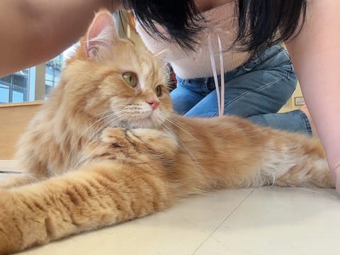 会いに来てくださったお兄様方
ありがとうございました🩵

四◯◯◯いからの仰向けマッサージ
気に入ってくれて嬉しかったで