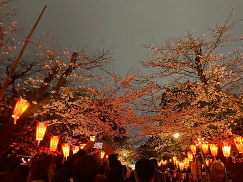 3月もご本指様、ご新規様足をお運び頂きありがとうございました(❁ᴗ͈ˬᴗ͈)

昨日も久しぶりのお客様が
疲労感MAXで