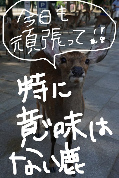 ねみぃ。

昨日は結局雨降らんかったん
何やったん？
皆無駄な荷物増やしちゃったやん🌂⚔️

あ。おはよ！
4時29分朝