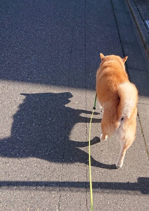 こんばんは。
中野roomにいます。
是非いらしてください✨