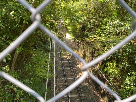 ジブリすぎるだろ🚃🌳
※全然避暑地ちゃうやん