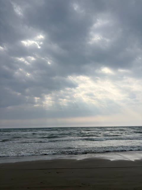 能登半島に来訪
