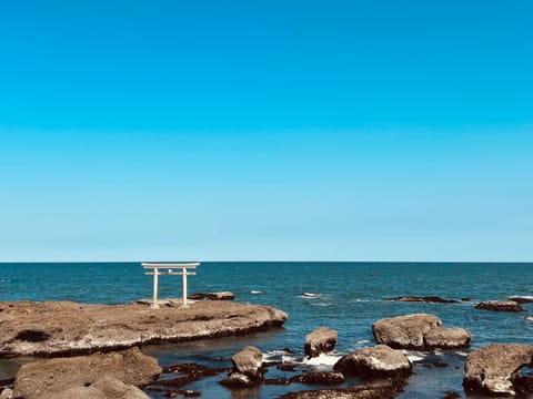 母の日で実家行ってお出かけしてきた💐