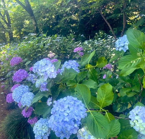 受付開始からご予約ありがとうございます☺️
次は最短17:40〜ご案内可能です🫶🏻
昨日は足元が悪い中沢山の人が会いにき