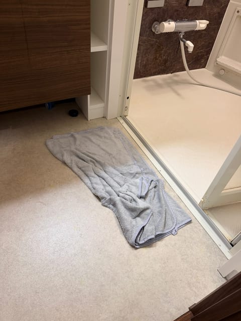 今日のお部屋前に使ってたの誰だろうってなるぐらい汚いな

特にお風呂場の敷きタオルがこんな感じだったのが1番笑わせてもら