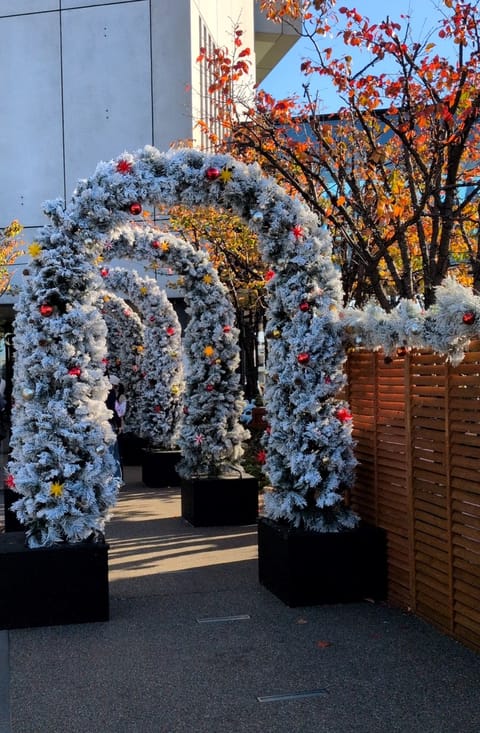 おはようございます☀️今日もいいお天気ですね!11月も下旬になってクリスマスが近づいてきましたね🎵この時期の街の雰囲気と