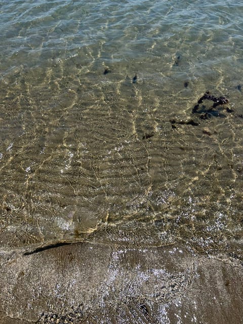 海行ってきたよ🐬気持ちよかった〜
今日は18:00-24:00出勤です！
お問い合わせお待ちしております💖