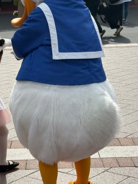 こんなに可愛い後ろ姿ないよねぇ( ´,,•ω•,,`)♡