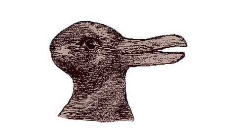こんなの初めて🐰＝🪿
きゃわ🩷
中学生の頃、英語で『I like ducks.』と言ったら、あなた変わってるのねって先生