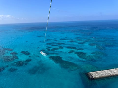 初の石垣島！海綺麗すぎた🐠🪸🩵
パラセーリングしてシュノーケリングして
マリンスポーツで落とされまくって
超充実したけど