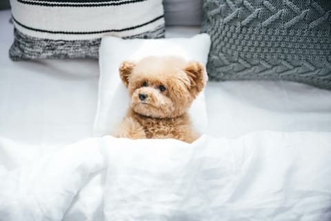 出勤してます⭐️
ご予約ありがとうございます🫶
残り16:30〜18:15の間でお取りできます🥹
ご予約お待ちしてます♡