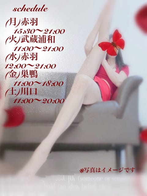 💠schedule🆕💓