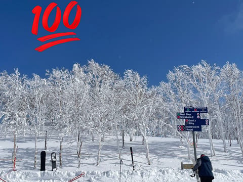 2月はたくさん旭川に行きました❄️