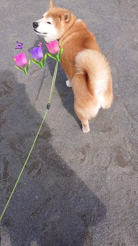 おはようございます😃

荻窪南口roomにいます。

是非いらしてください✨