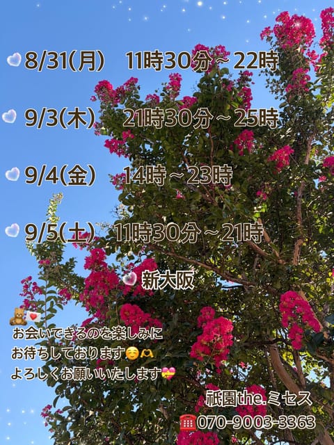 気づけば8月ももうすぐ終わりですね😉
朝晩の涼しさや、夕方の風に少しずつ秋の気配を感じる頃です🍁
来週の予定です✍️
夏