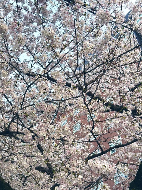 永瀬ゆあ