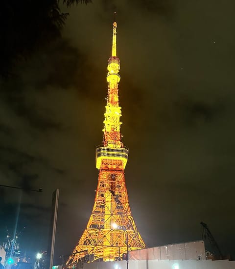 何気に初めてのぼった東京タワー🗼

この日は雪が少しチラチラ降ってた☺️❄️