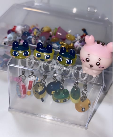 マイコレクション🩷