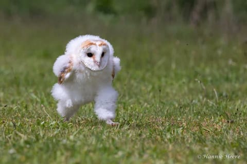 ｴｯﾎｴｯﾎ💨💨

🌷3月前半 出勤予定🌷

5日(水) 21-2時
11日(火)21-2時
15日(土)23-3時

