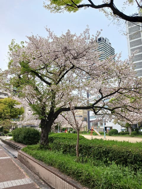 お疲れ様です🌙今週もありがとうございました✨️桜ももうすぐ終わりかな😢てりたまも食べたしエヴァのビールも買ったしあとは…
