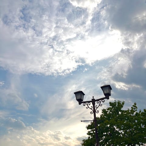 今日で6月も終わり.

早いですね〜

今日は天気が良かったのでお散歩してきました    
 ﾞ(っ ॑꒳ ॑c)💕

