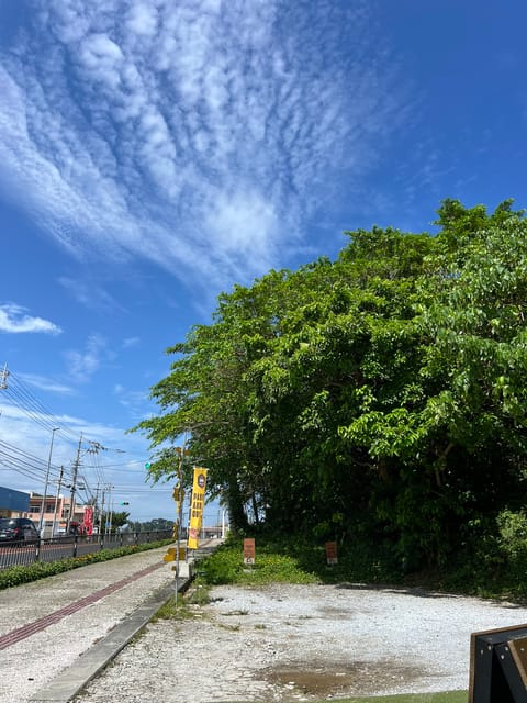 最終日めちゃめちゃいい天気☀️
お父さんとご飯食べてるよ〜