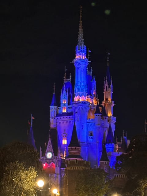 夜のディズニーって反則レベルにキレイじゃないですかっ！？😍

こんな魔法みたいな時間、エステでも味わってほしいな〜🫧