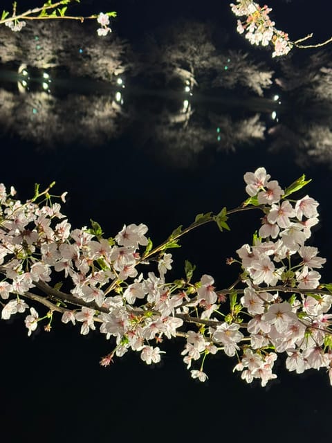 貝沢ルーム出勤しました！
時間長く変更して
只今〜16じまでです🧸🫧

昨日は地元でお花見してきました🌸
既に散り始めて