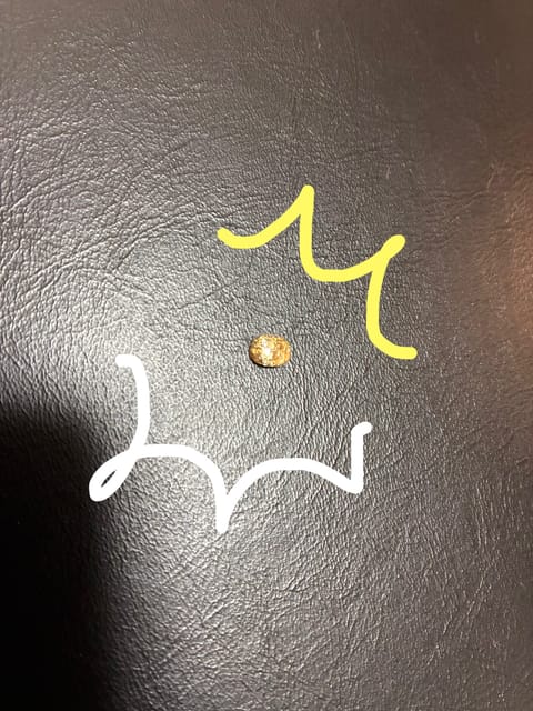 靴下の中がなんだか痛い…☹️

ポロリン…

フットネイルあるある

現場からは以上です🥸

こっちも沢山更新してます🆙