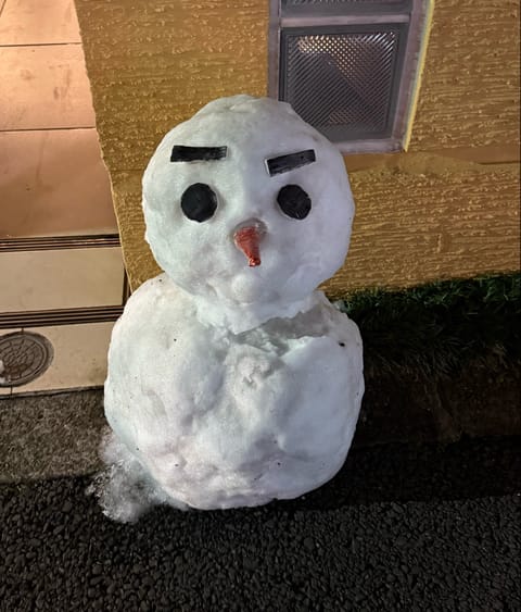 今週からやっとです🌟

楽しみだな☺️