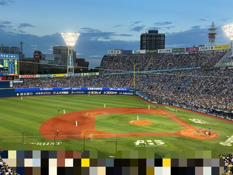 さあ！対阪神戦🐯

勝てよー⭕️