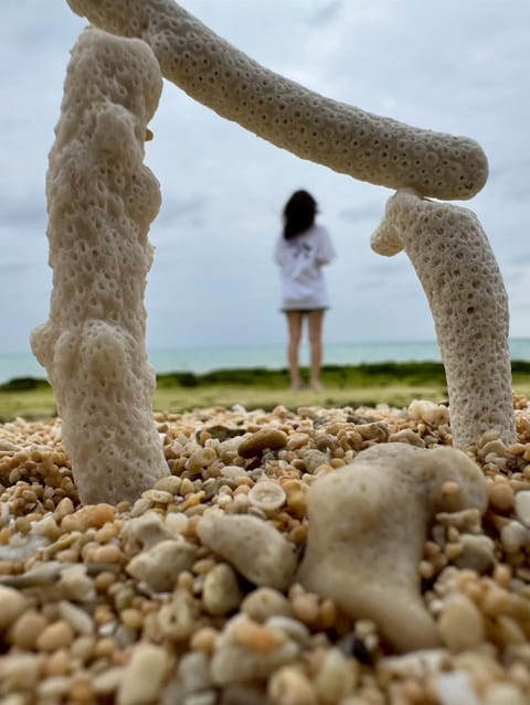本日最短⭐21:50のご案内です💁‍♀

打ち上げ花火人混み苦手で行けないから
お友達たちと公園で
手持ち花火大会したよ