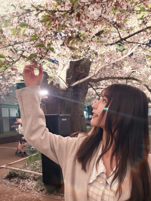 夜桜見れた🌸🌃