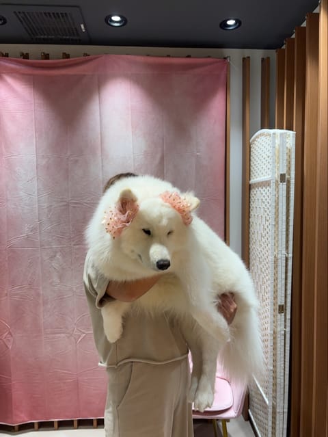 無事に可愛いこちゃん抱っこ🐶❤️
月末また豊橋いきまーーす！