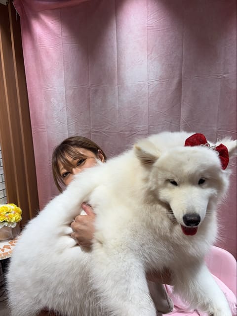 無事に可愛いこちゃん抱っこ🐶❤️
月末また豊橋いきまーーす！