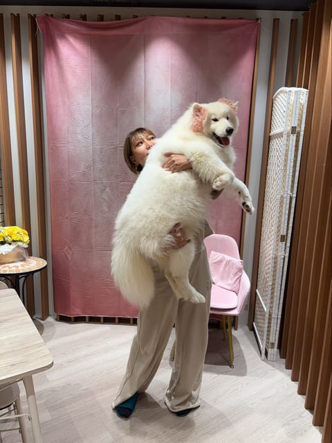 無事に可愛いこちゃん抱っこ🐶❤️
月末また豊橋いきまーーす！