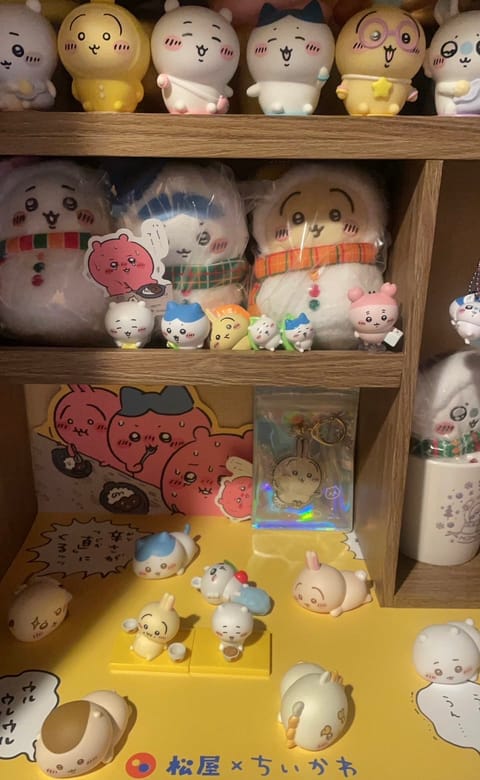 うちの玄関🐰🐱（笑）改めて集まってる💗